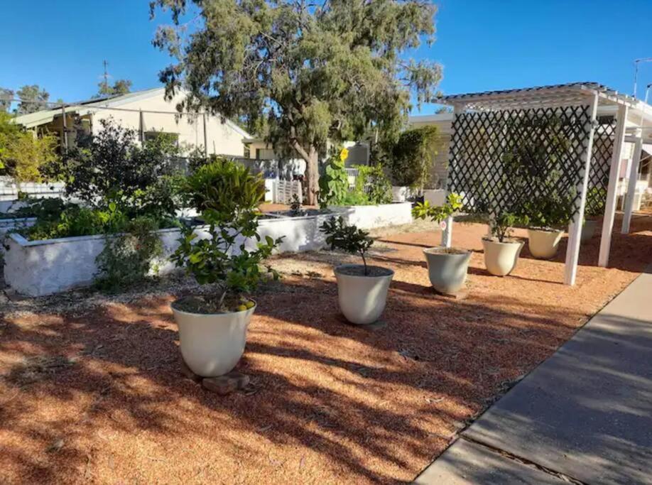 Lavender Cottage - At Home In Lightning Ridge Exterior photo